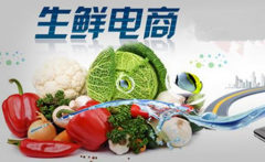 南京冷鏈物流公司有哪些（冷鏈物流運費一般多少）